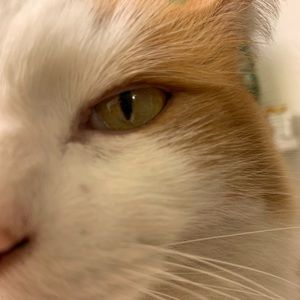 Meet your Posher, Kendra